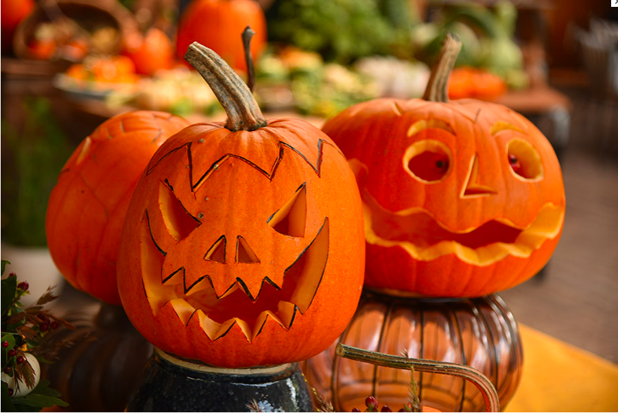 Halloween pompoen snijden | Aaldering de Stek